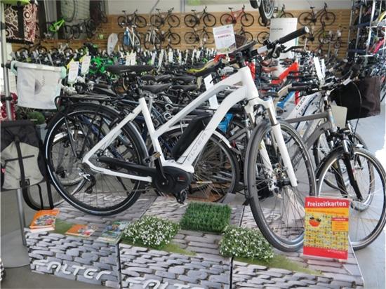 Fahrrad Auswahl in  Bad Dürkheim